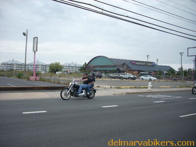 DSCN3981.JPG