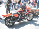 imp1037.JPG