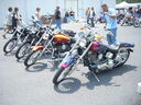 DSCN2254.JPG