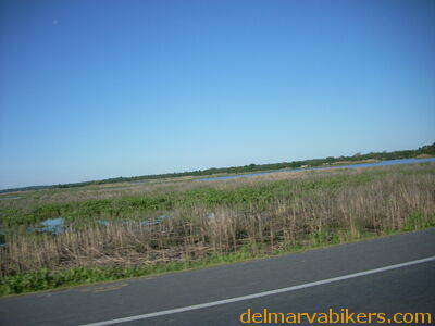 DSCN1396.JPG
