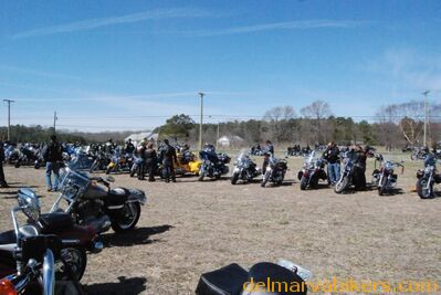 DSC_0295.JPG