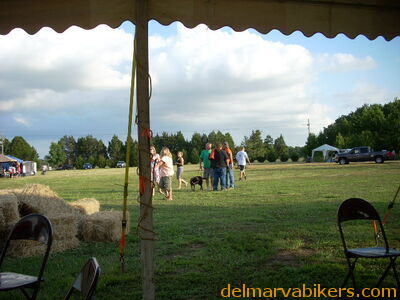 DSCN7943.JPG
