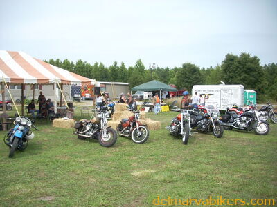 DSCN8608.JPG