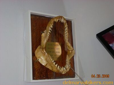 DSCN1821.JPG