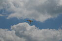 DSC_0315.jpg