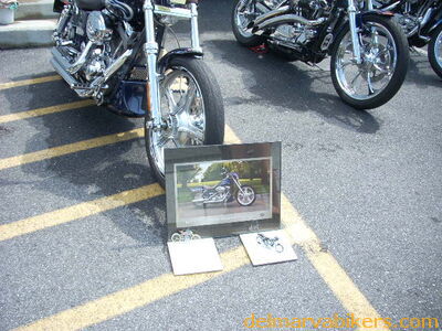DSCN7849.JPG