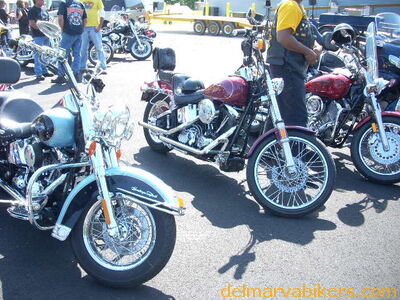 DSCN6088.JPG