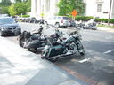 DSCN5910.JPG