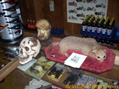 DSCN5745.JPG