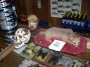 DSCN5745.JPG