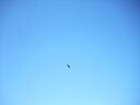 DSCN5525.JPG