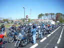DSCN5531.JPG