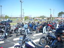 DSCN5535.JPG
