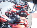 DSCN5606.JPG
