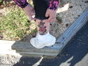 DSCN5624.JPG