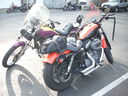 DSCN5657.JPG