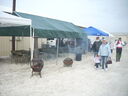 DSCN5339.JPG