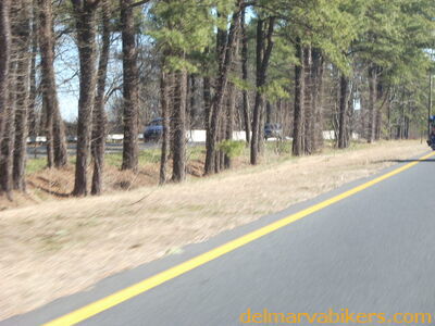 DSCN5078.JPG