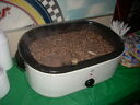 DSCN5100.JPG