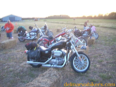 DSCN9223.JPG