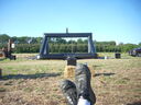DSCN9133.JPG