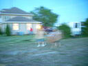 DSCN9232.JPG