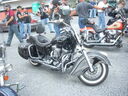 DSCN0337.JPG