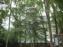 DSCN0314.JPG