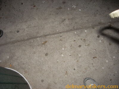DSCN1097.JPG
