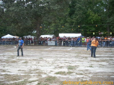 DSCN0800.JPG
