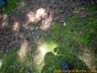 DSCN9956.JPG