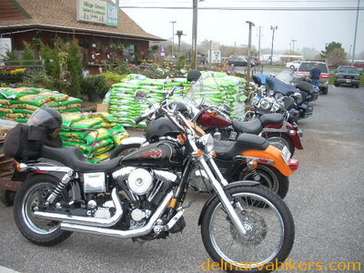 DSCN8988.JPG