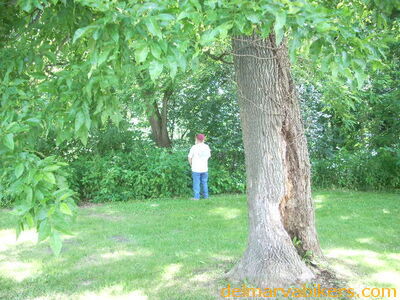 DSCN9318.JPG