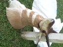 DSCN9337.JPG