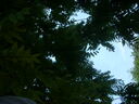 DSCN2290.JPG