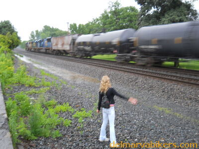 DSCN0346.JPG