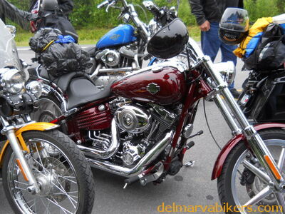 DSCN0364.JPG