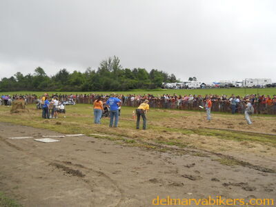 DSCN0529.JPG