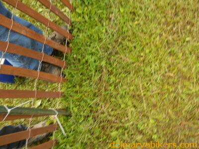 DSCN0648.JPG