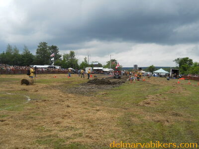 DSCN0662.JPG