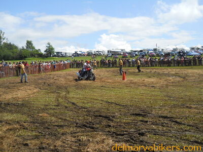 DSCN0729.JPG