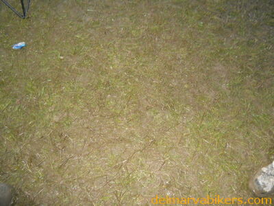 DSCN0908.JPG