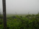DSCN0378.JPG