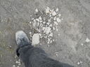 DSCN0628.JPG