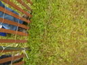 DSCN0648.JPG
