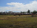 DSCN0696.JPG