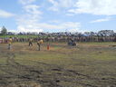 DSCN0748.JPG