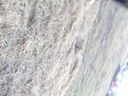 DSCN0811.JPG