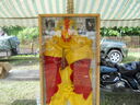 DSCN0825.JPG