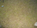 DSCN0908.JPG